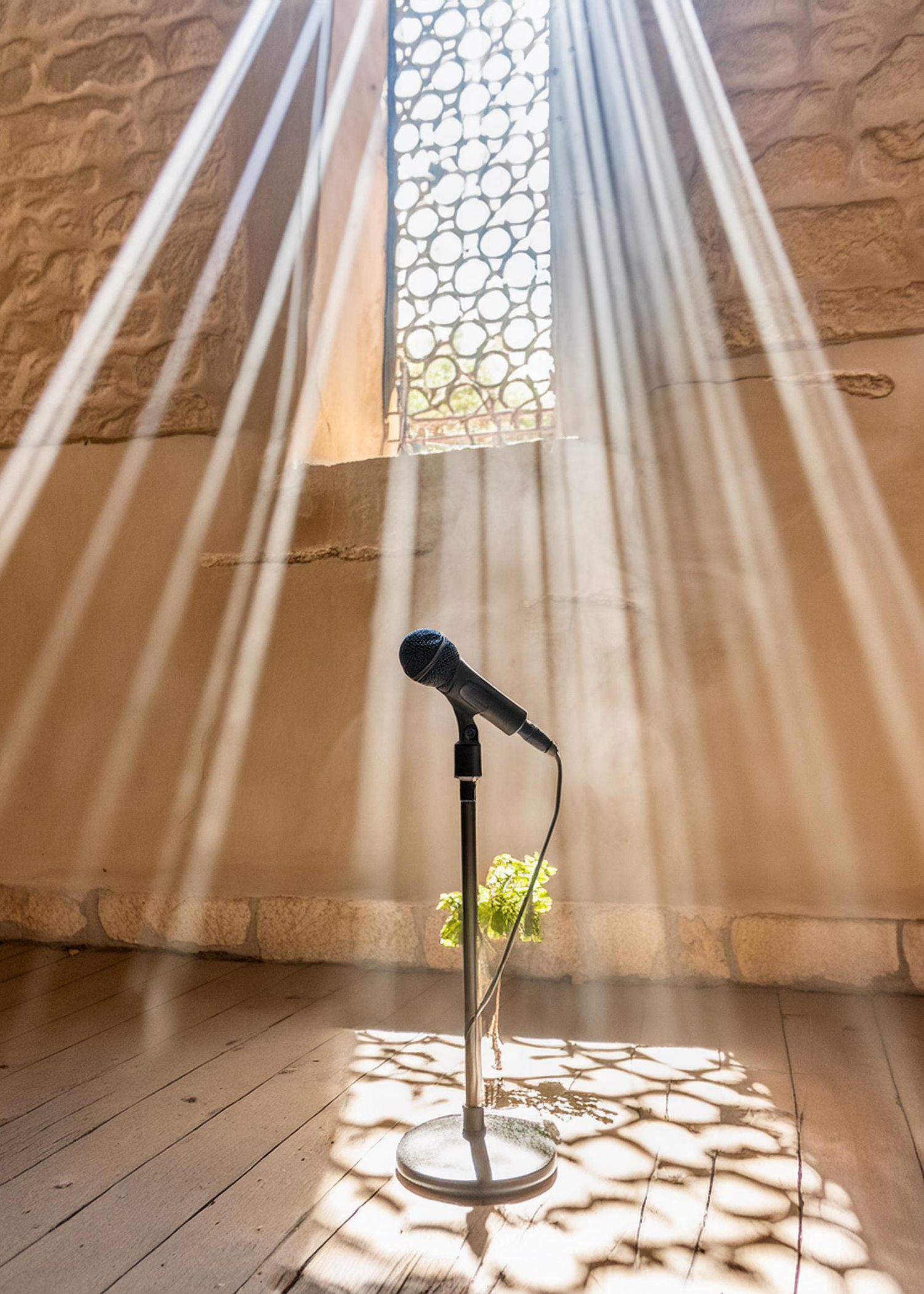 Sing
